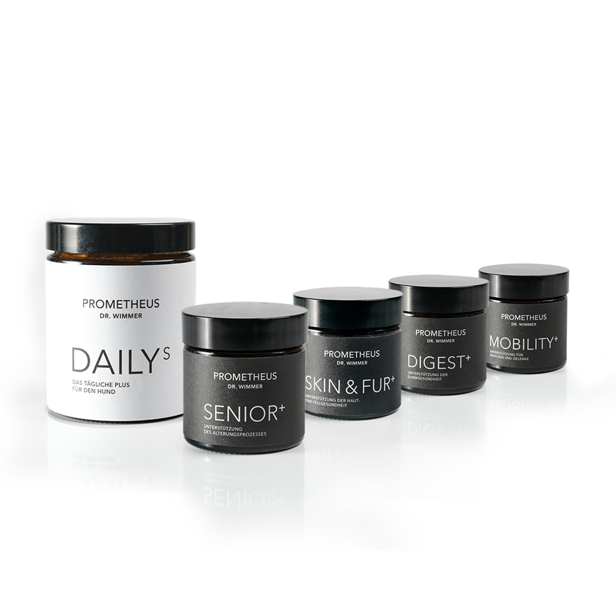 GRACEFUL-AGING-BUNDLE für kleine Hunde (<10 kg)