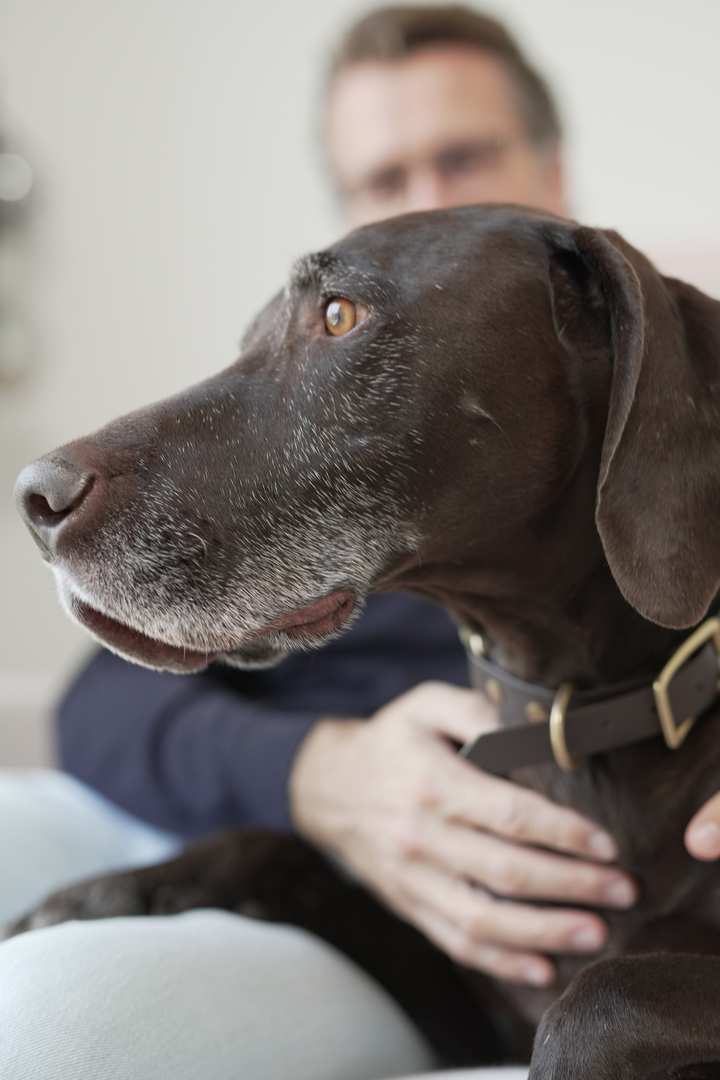 Erziehen wir unsere Hunde so, wie wir selbst erzogen wurden?